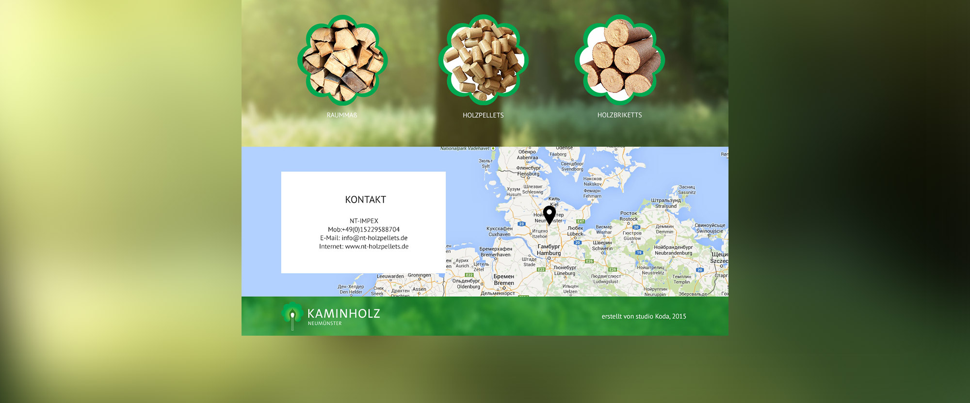 Создание сайта-визитки для производителей биотоплива «Kaminholz»