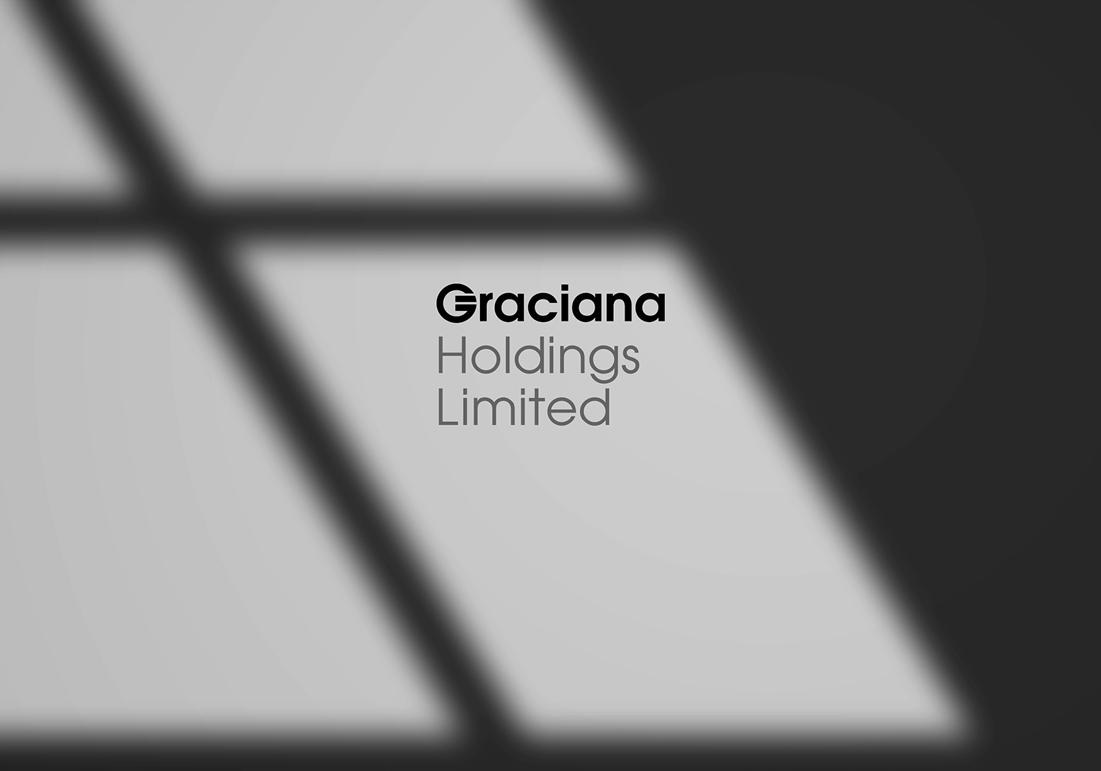 Разработка логотипа для финансовой компании Graciana Holdings Limited